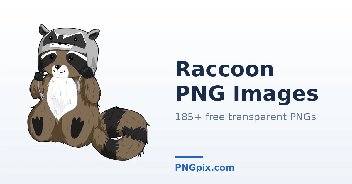Raccoon PNG images