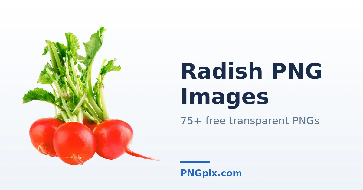 Radish PNG images