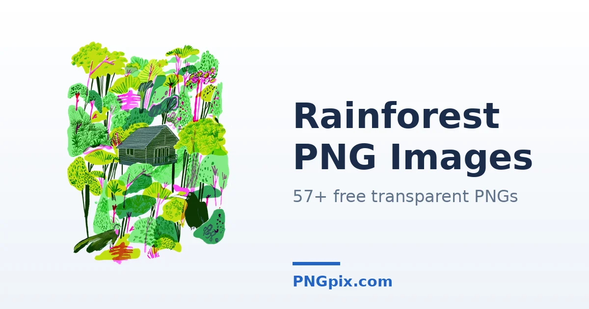 Rainforest PNG images