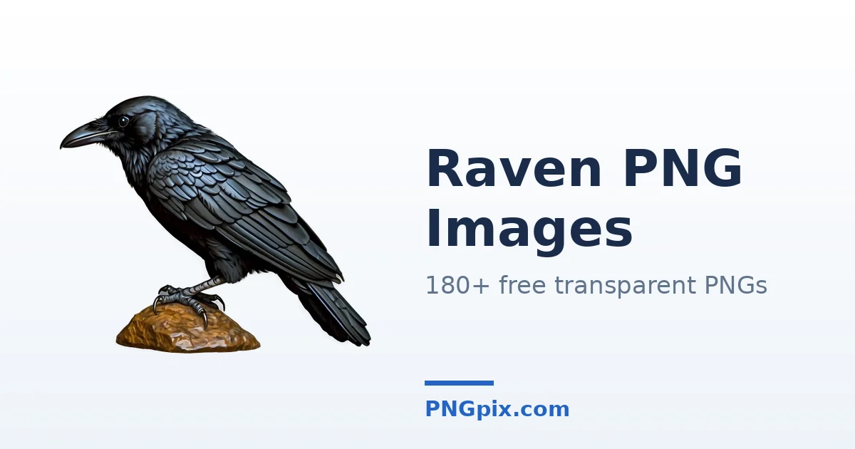 Raven PNG images