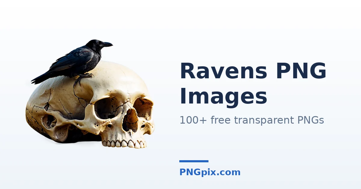 Ravens PNG images