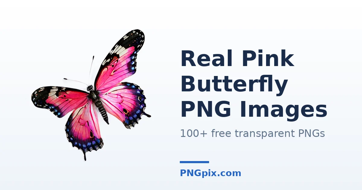 Real Pink Butterfly PNG images