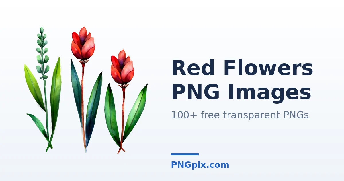 Red Flowers PNG images