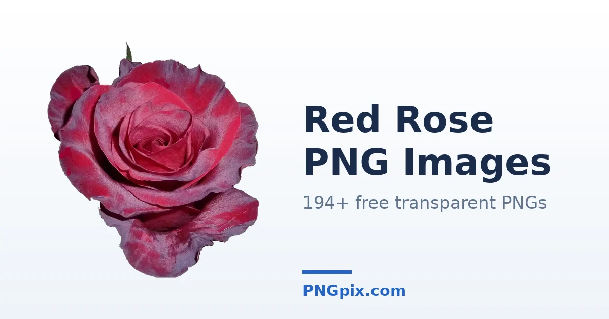Red Rose PNG images
