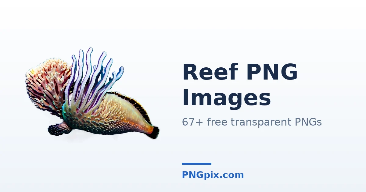 Reef PNG images