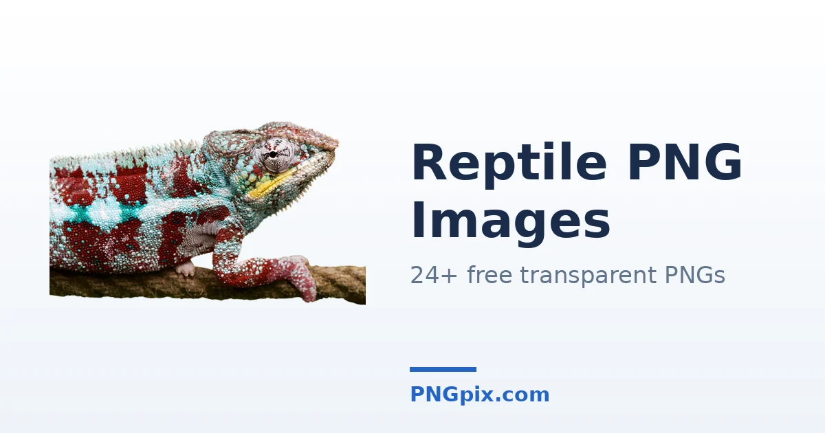 Reptile PNG images