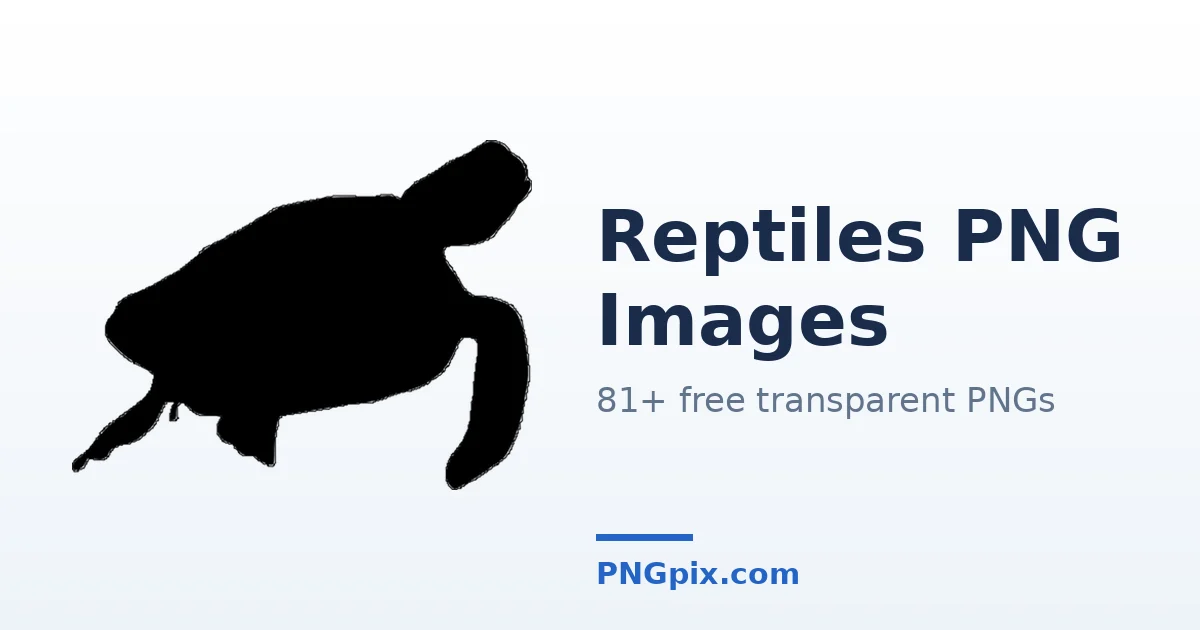 Reptiles PNG images