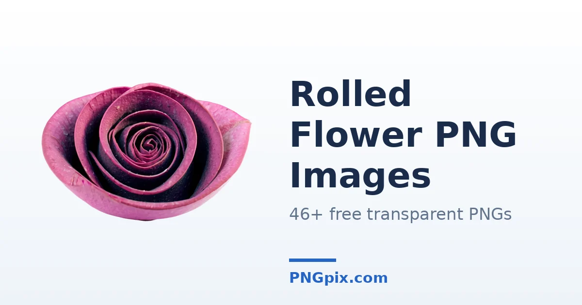Rolled Flower PNG images