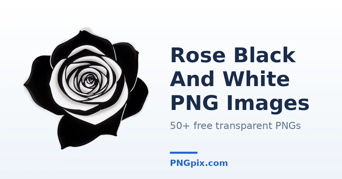 Rose Black And White PNG images