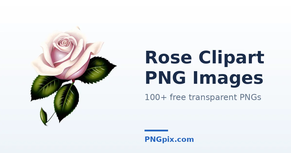 Rose Clipart PNG images