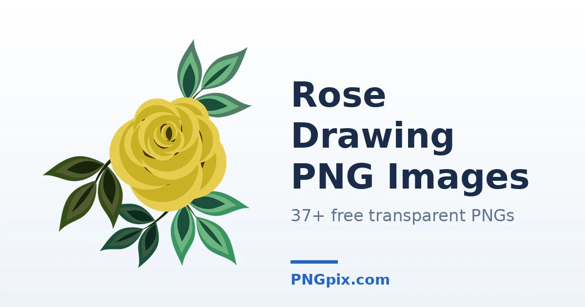 Rose Drawing PNG images