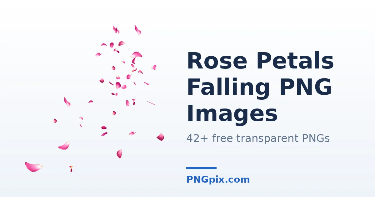 Rose Petals Falling PNG images
