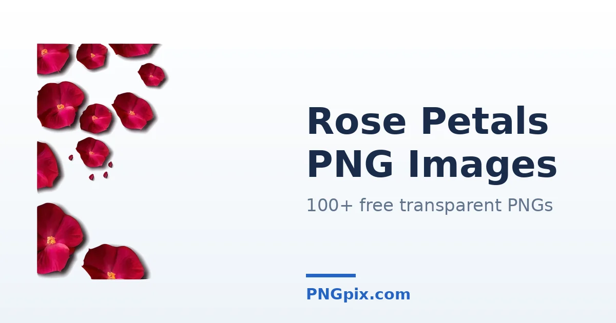Rose Petals PNG images