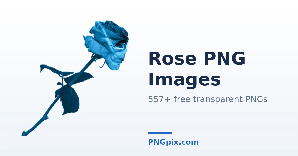 Rose PNG images