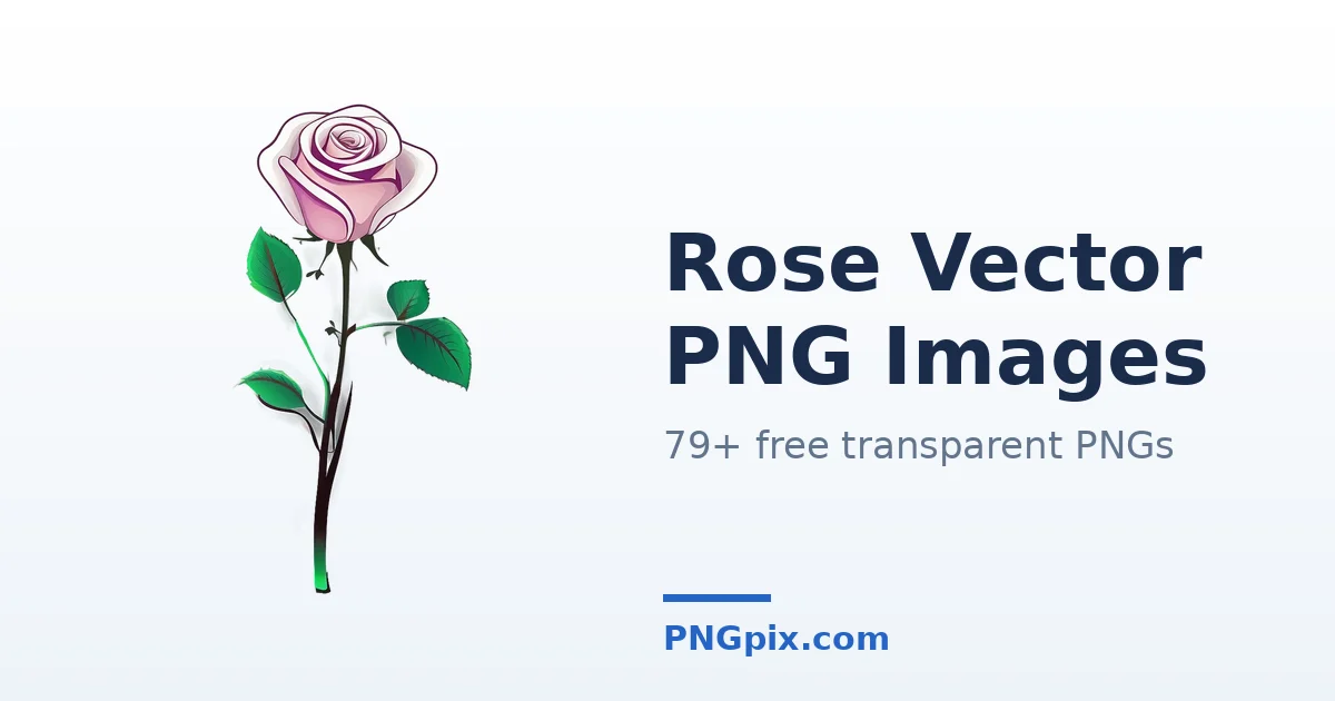 Rose Vector PNG images