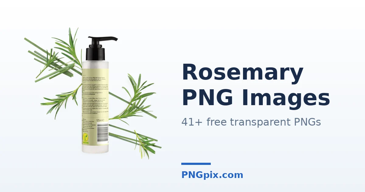 Rosemary PNG images