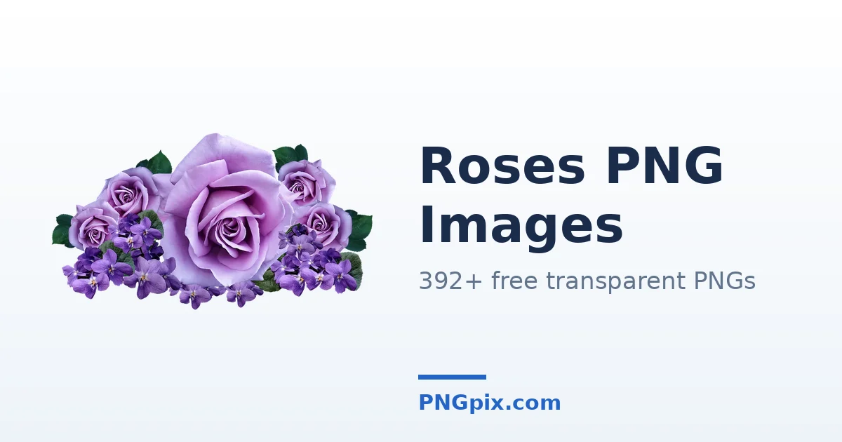 Roses PNG images