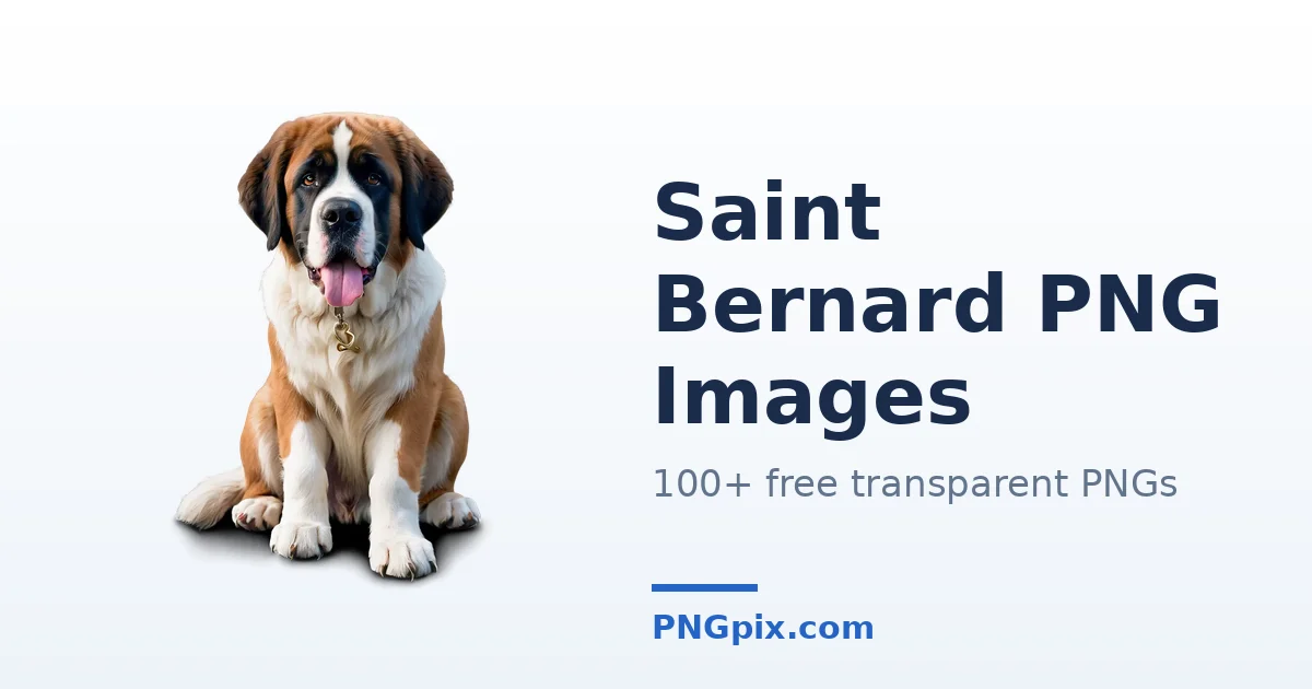 Saint Bernard PNG images