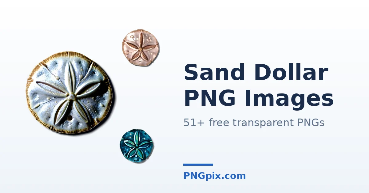 Sand Dollar PNG images