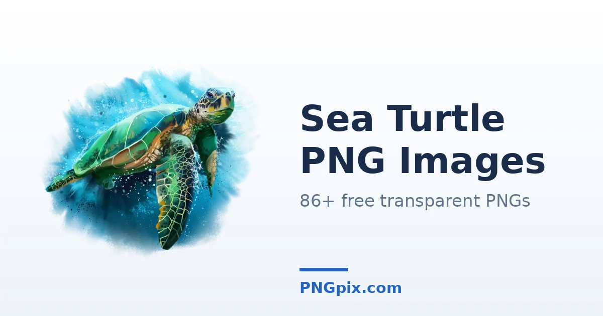 Sea Turtle PNG images