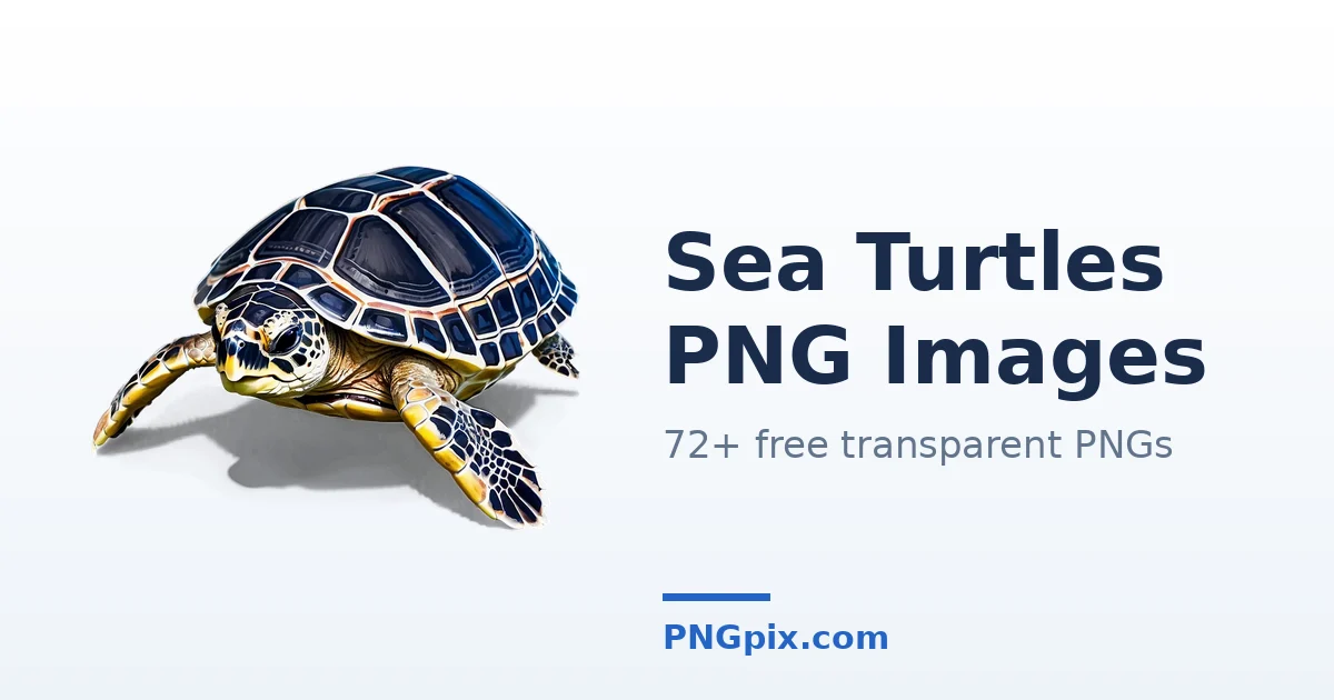 Sea Turtles PNG images