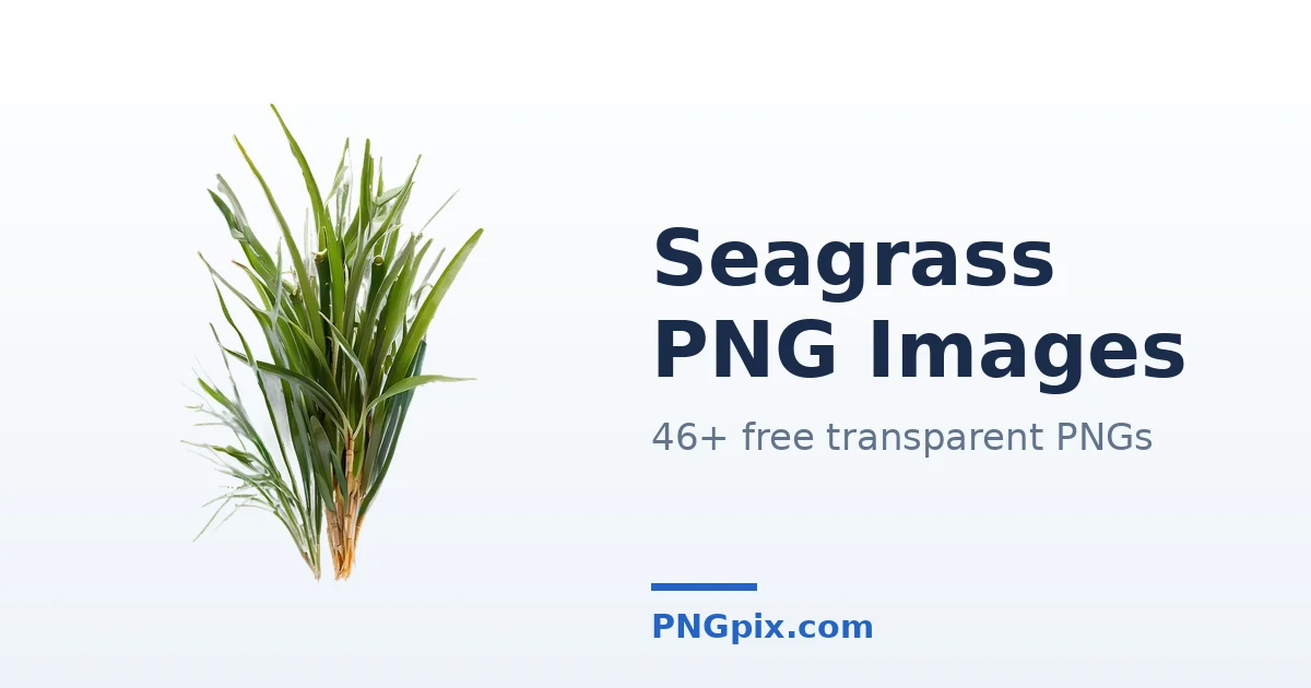 Seagrass PNG images
