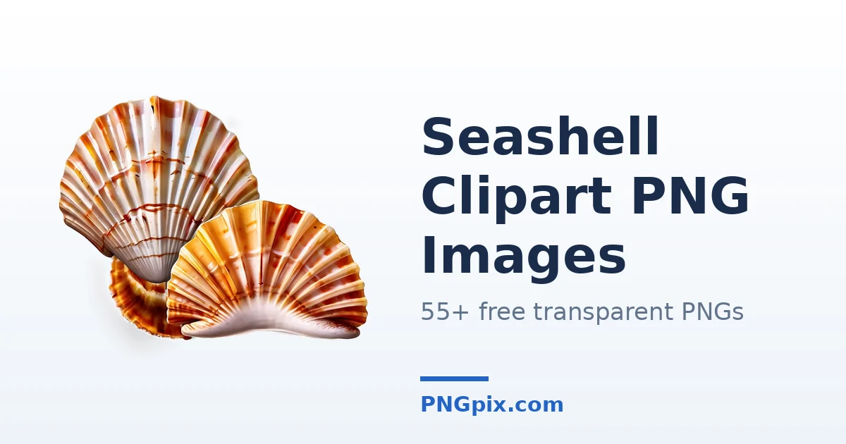 Seashell Clipart PNG images