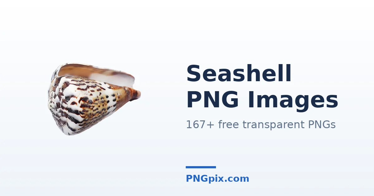 Seashell PNG images