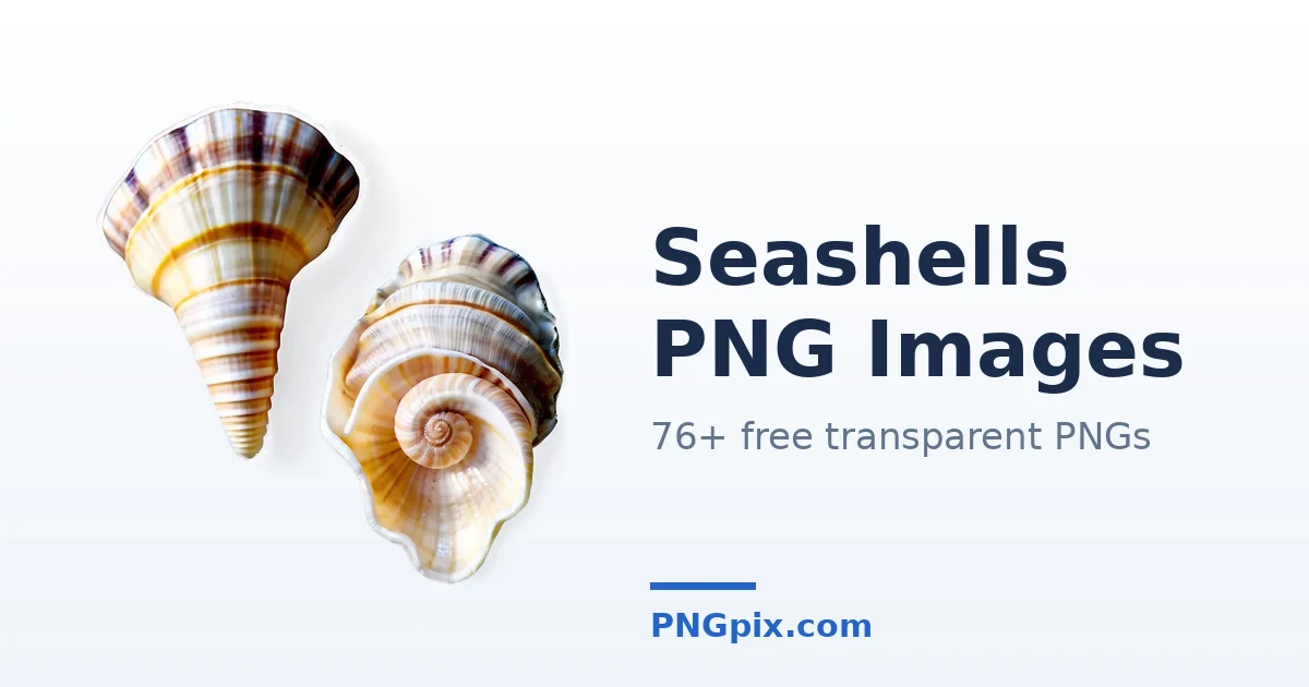 Seashells PNG images