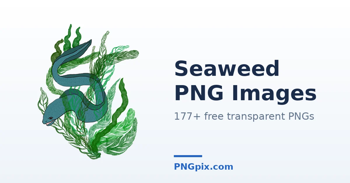 Seaweed PNG images