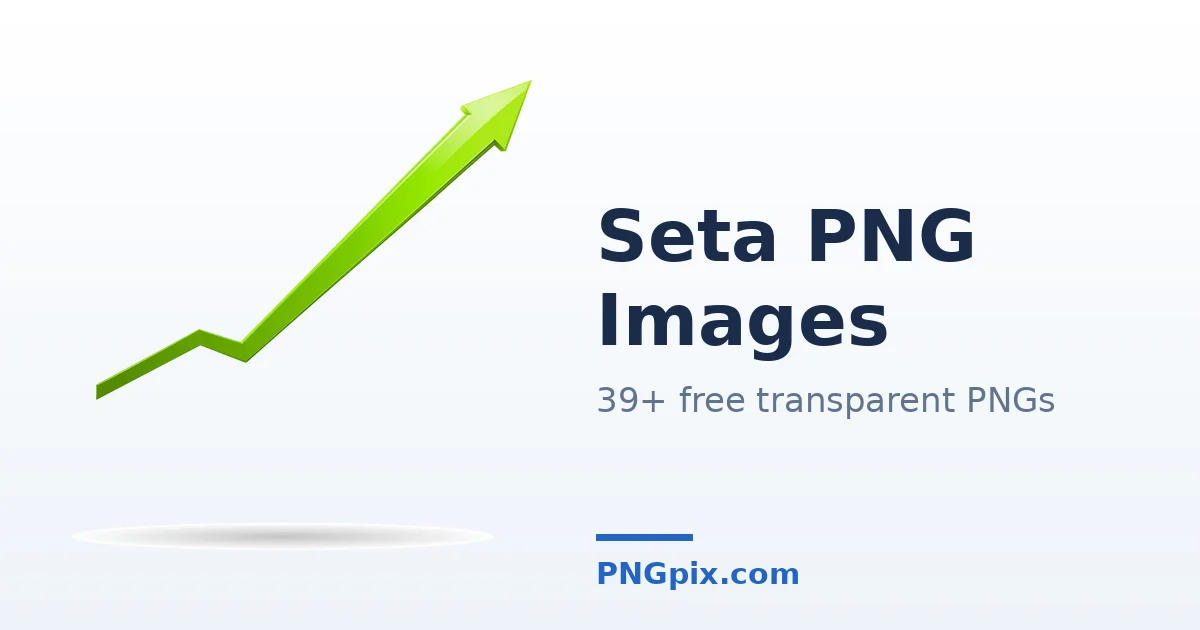 Seta PNG images