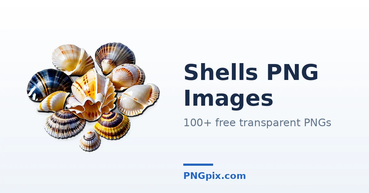 Shells PNG images