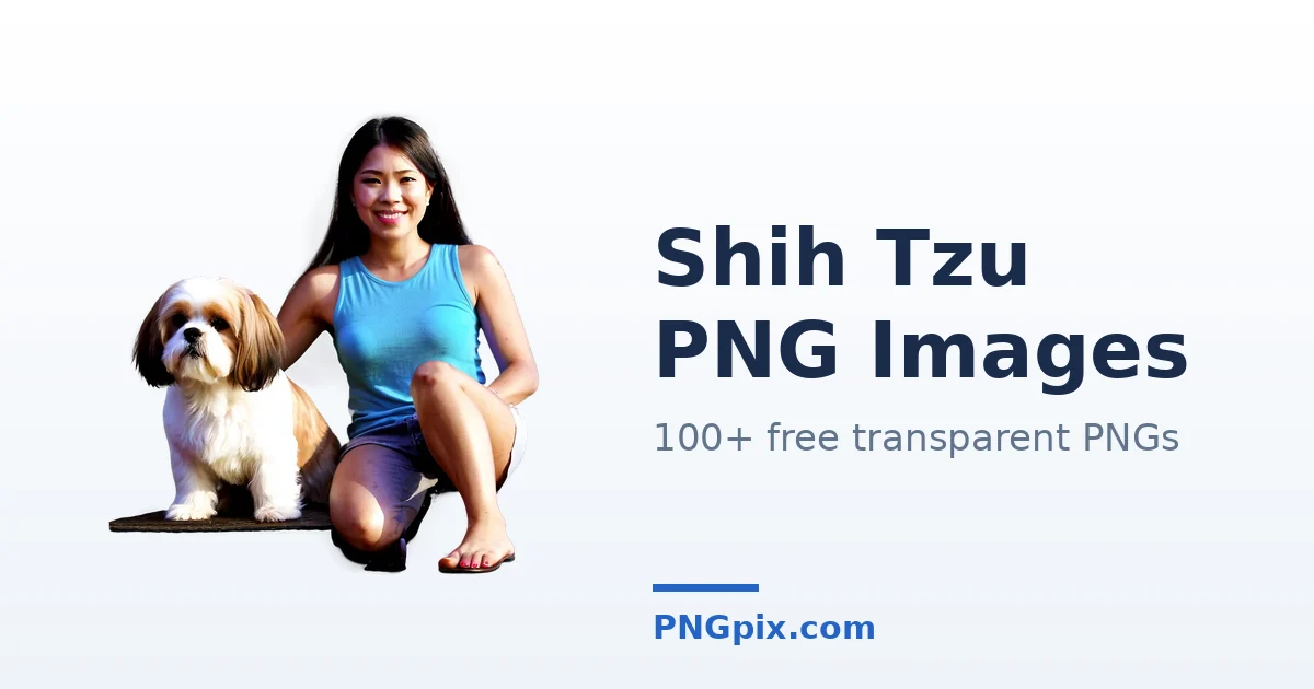 Shih Tzu PNG images