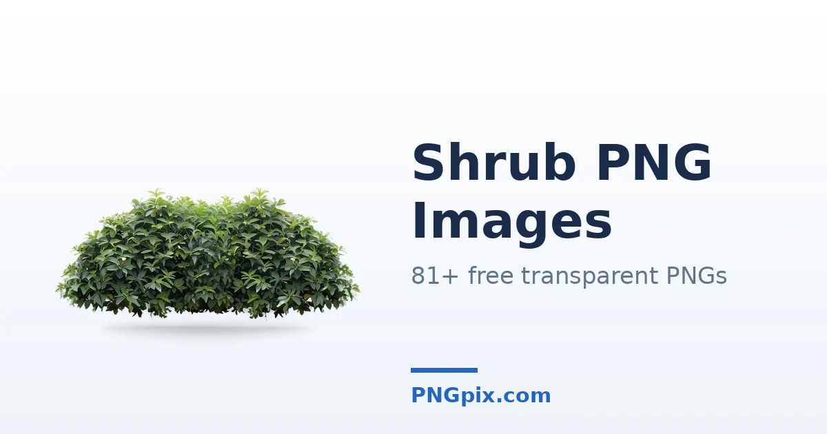 Shrub PNG images