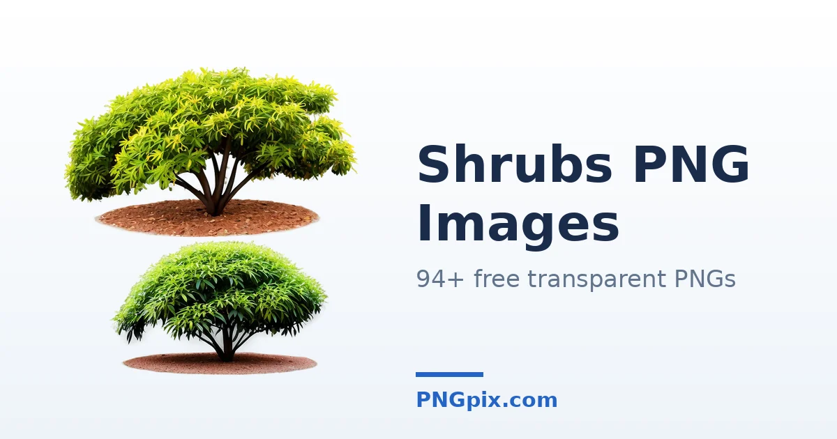 Shrubs PNG images