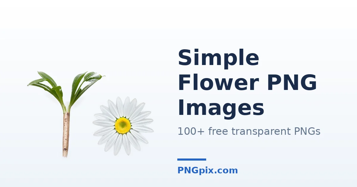 Simple Flower PNG images