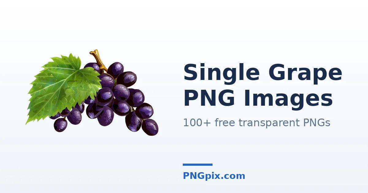 Single Grape PNG images