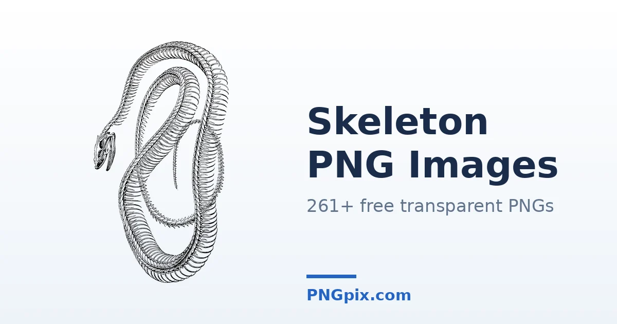 Skeleton PNG images