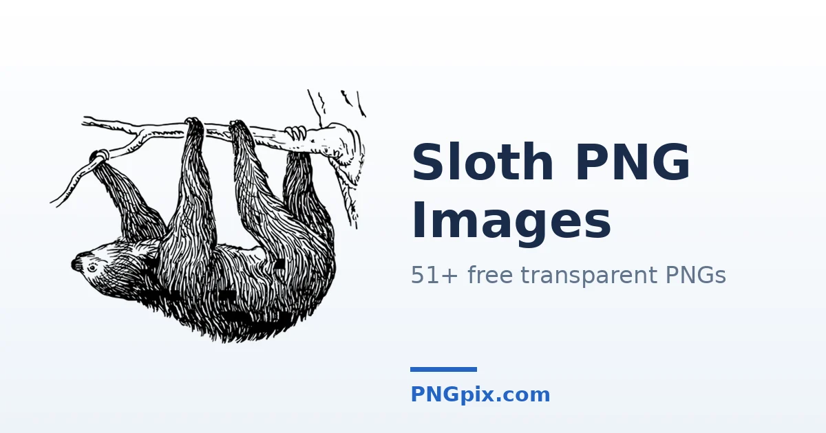 Sloth PNG images