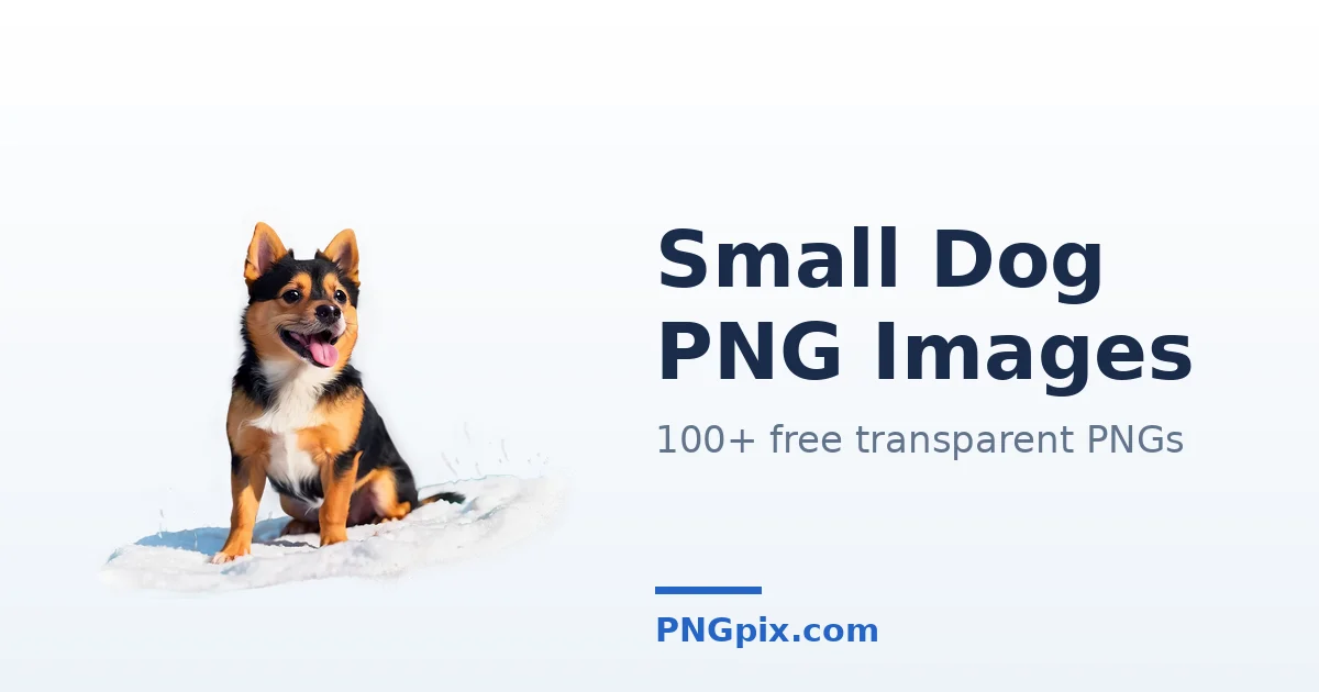 Small Dog PNG images