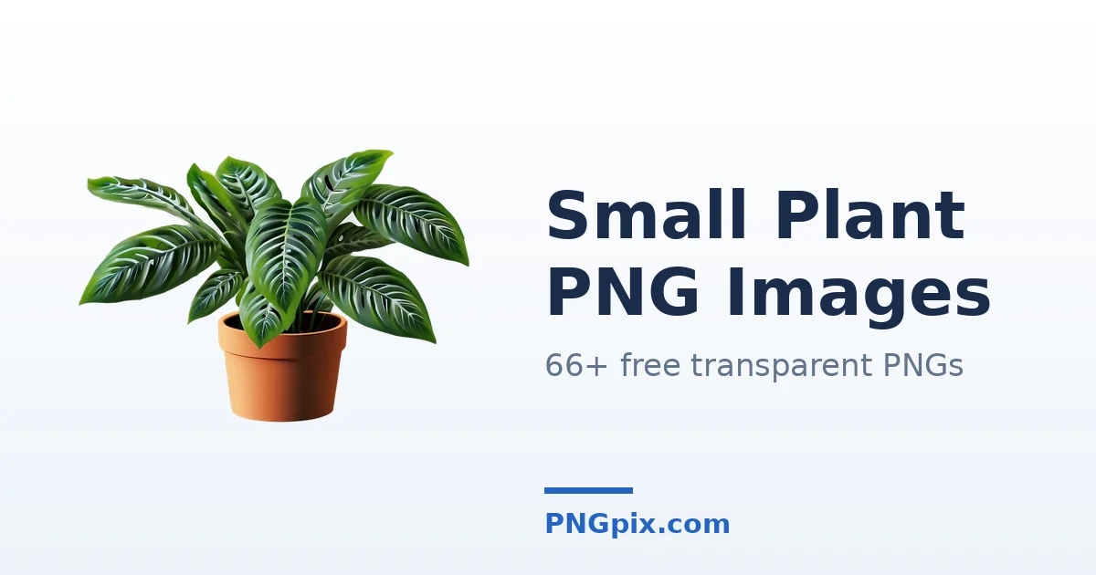 Small Plant PNG images