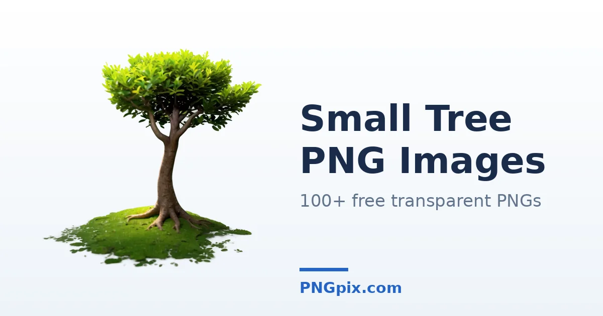 Small Tree PNG images