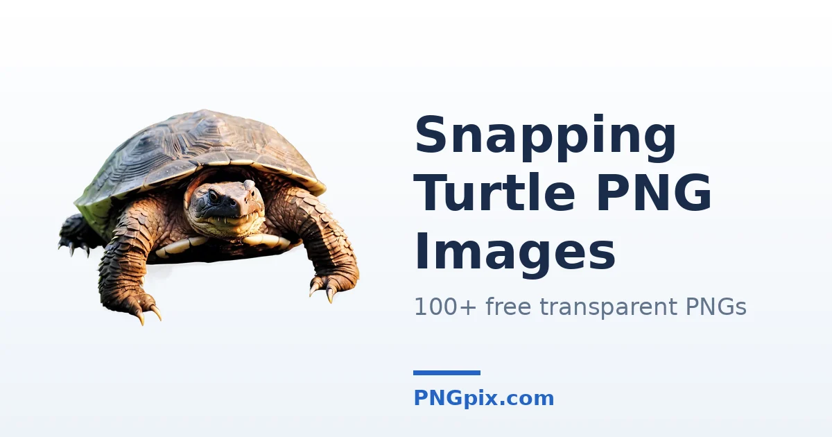 Snapping Turtle PNG images