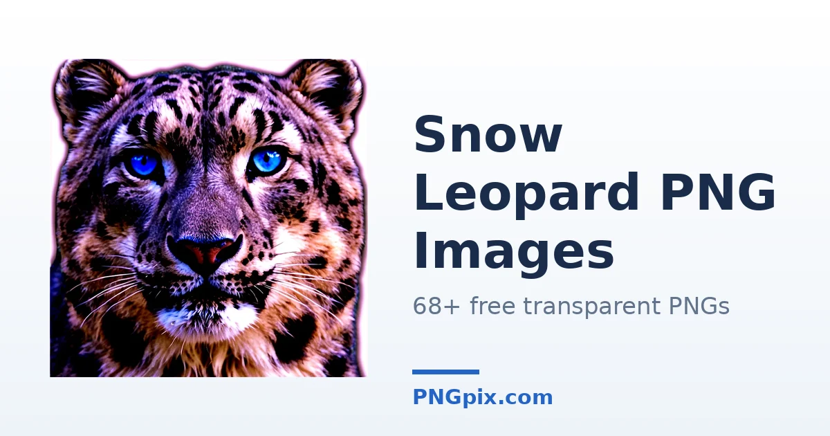 Snow Leopard PNG images
