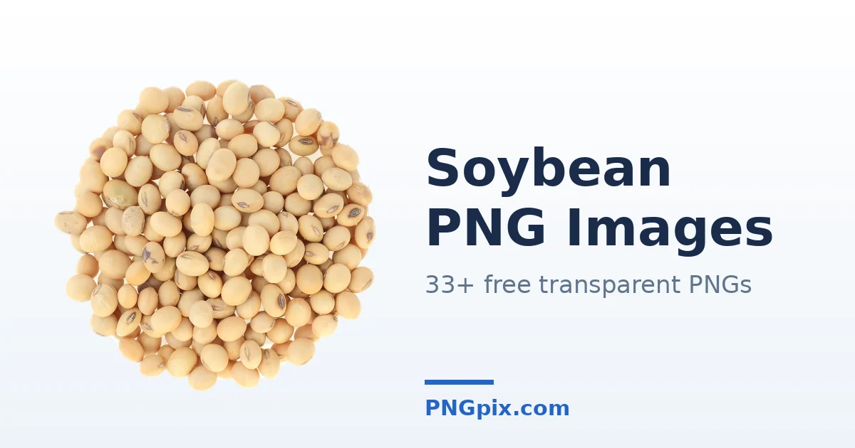 Soybean PNG images