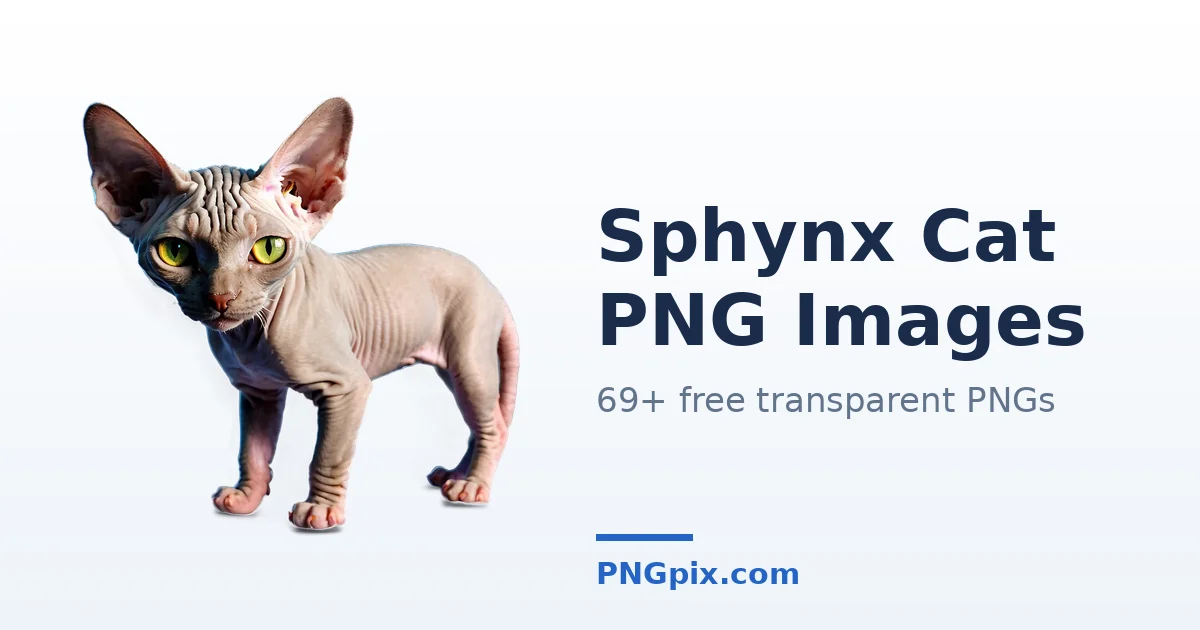 Sphynx Cat PNG images