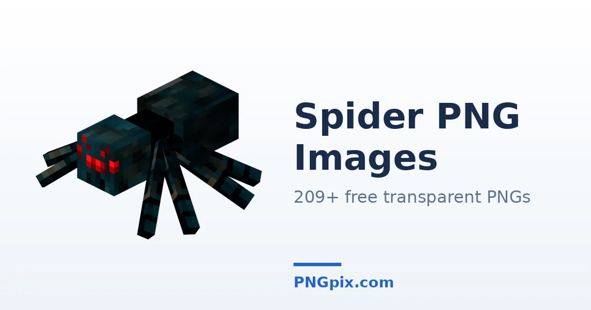 Spider PNG images