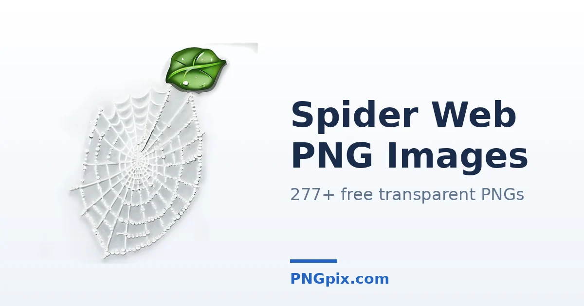 Spider Web PNG images