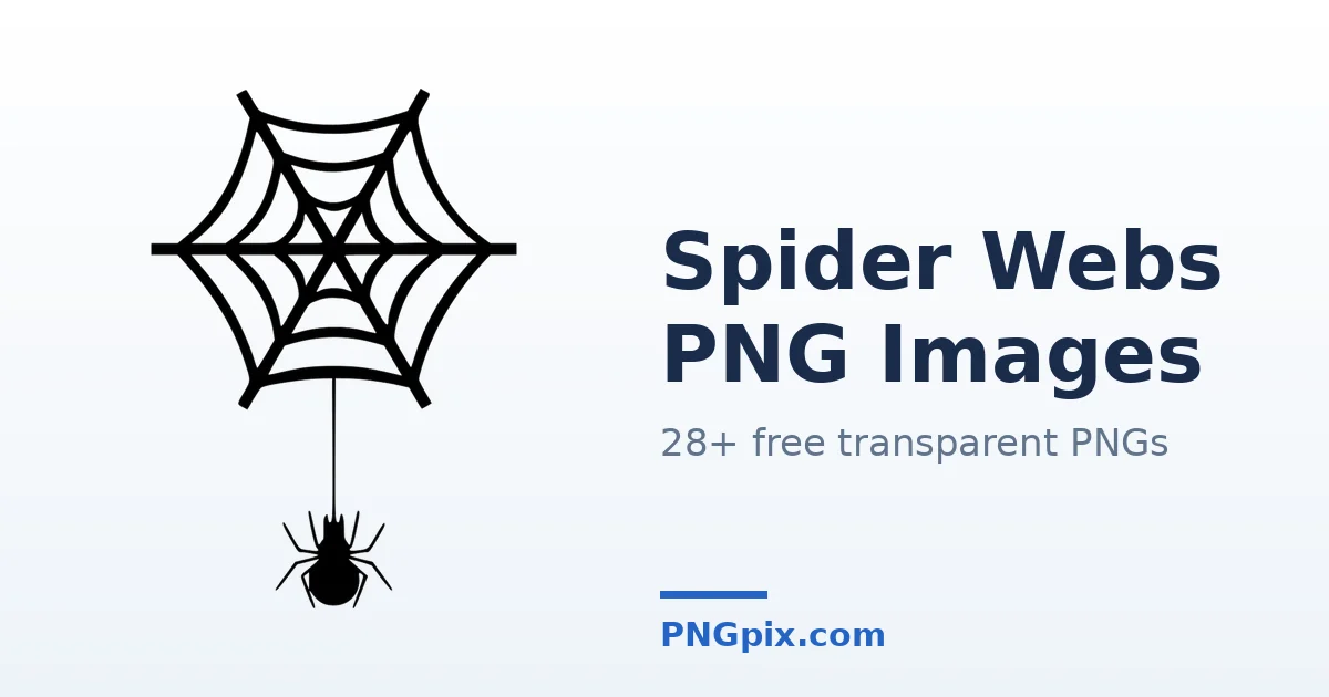 Spider Webs PNG images