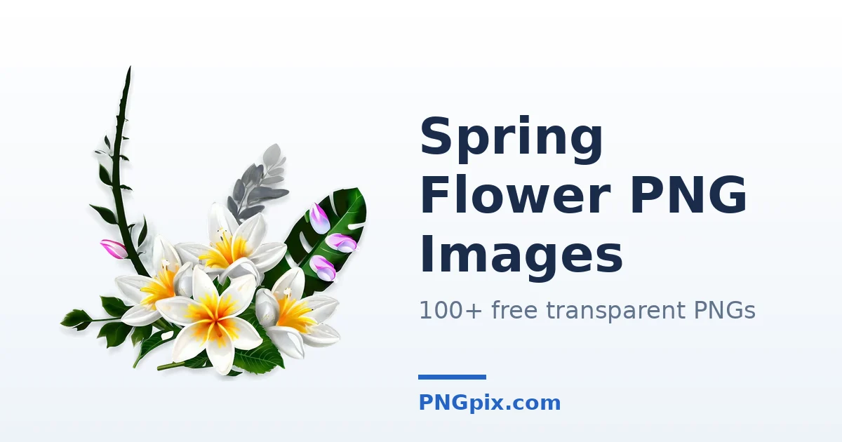 Spring Flower PNG images